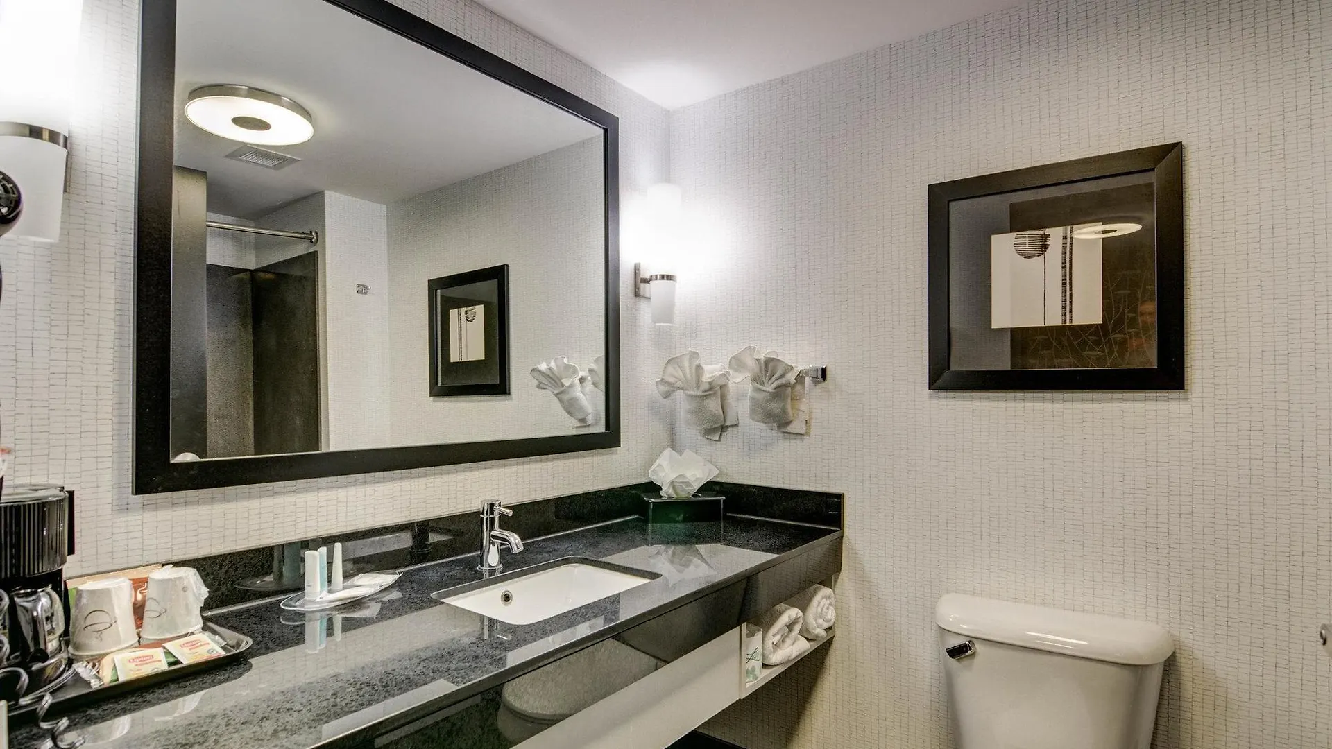 Hotel Comfort Suites Williamsburg Historic Area